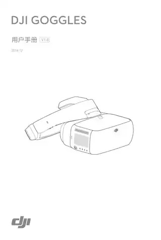 DJI大疆DJI Goggles
